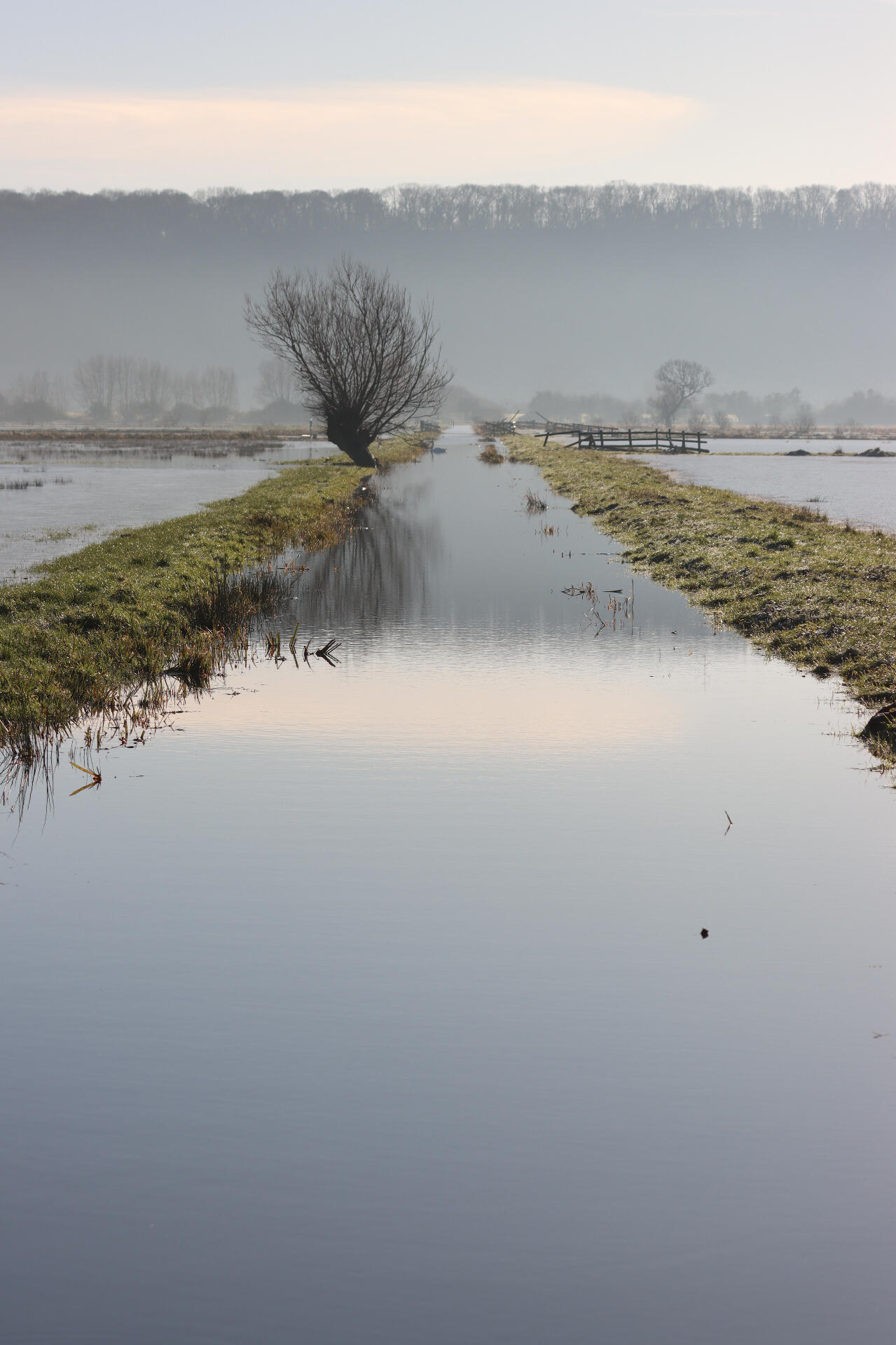 Somerset Levels